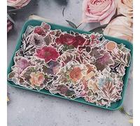 RISYPISY 360pcs Vintage Washi Floral Sickers, 6 Packs Watercolor Botanical Stickers for Scrapbooks, Planners, Journal Supplies, Notebook, Laptop, Gift Card, Calendar
