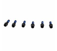 Ritchey WCS C220 & Toyon Stem Replacement Bolt Set, Black