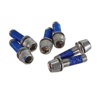 Ritchey Stem Wcs C220 Replacement Stailess Steel Bolt Set Silver