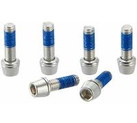 Ritchey WCS 4Axis Replacement Stainless Steel 6 pc Bolt Set