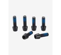 Ritchey WCS Chicane B2 Bolts (4 Units)