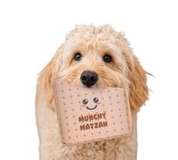 Rite Lite Chewdaica Passover Matzah Dog Toy - Passover Gifts for Dog Owners, Chewy Crinkly Tough & Durable Matzah Shaped Dog Toy Haggadah Pesach Seder Jewish Holiday Party Favor, Dog Accessories 5.5"H