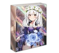RiTeDei Hmpn Hum 02 Series (1 Box) - MEIKA Collection Attractive Waifu Card Set Anime Trading Cards (Hmpn Hum Ⅱ)