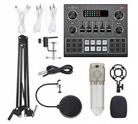 RiToEasysports Condenser Microphone Set,Recording Broadcasting Condenser Microphone with Adjustable Boom Arm Stand for Computers Mobilephone (Silver)