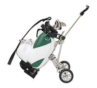 RiToEasysports Mini Bag Pen Holder,Desktop Bag Pen Holder with Pens Novelty Gift for Golfer Fans (Green White) Leisure Sport