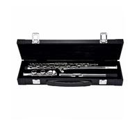 RiToEasysports Silver Coating 16 Keys Closed Hole C Key Flute for Beginners with Leather Box, Silver -viewed Flute for Music Enthusiasts