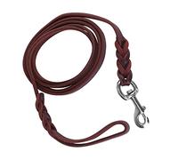 RiToEasysports Sustainable Braided Security Corch for a Dog for Running Training for a Dog Friend (The material length is 2 meters and the net length)