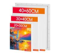 RITOLLO 6 Pack Stretched Canvas for Painting, 40x60,30x40,20x30cm Large Canvases, (A2,A3,A4) 280GSM Cotton Canvases, Acid-Free & Triple Primed for Acrylic, Oil & Watercolour, Artists & Beginners