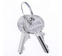 Rittal SZ 2532.000 Cabinet Key Silver