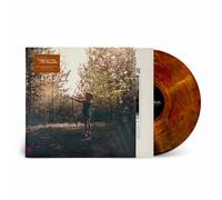 Josh Ritter - I Believe in You, My Honeydew [VINYL]