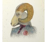 RITTER,JOSH - See Here, I Have Built You A Mansion (Pink Marble Vinyl) [Vinyl LP] [VINYL]