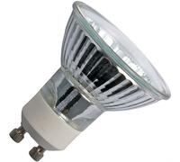 Rittz 220v-50w Spare bulb L54 | ✅ 5 years warranty