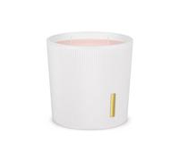 RITUALS Scented Candle from The Ritual of Sakura - with Sweet Cherry Blossom and Rice Milk - Long-Lasting Fragrance - Up to 70 Hours of Burn Time - 1 x 840g