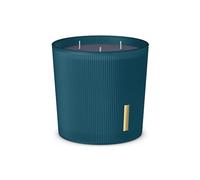 RITUALS Scented Candle from The Ritual of Hammam - with Eucalyptus and Rosemary - Long-Lasting Fragrance - Up to 70 Hours of Burn Time - 1 x 840g