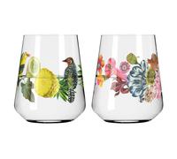 Ritzenhoff - Sommertau Drinking Glasses 50 cl 2-pack, #1 & 2 - Clear