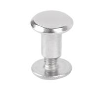 Riuulity 100-Pack Stainless Steel Rivet Stud Set Dome Head Rivets Brazier Head Rivets Round with Screws for Leather Clothing Crafts Fixing (Stainless Steel)