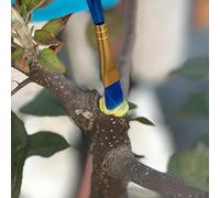 Riuulity 100g Bonsai Grafting Paste Plant Wound Healing Agent Sealing Pruning Cuts with Brush for Tree Repair (Assorted Color)