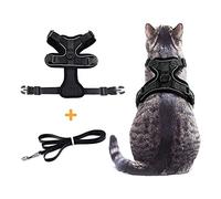 Riuulity Cat Harness with Leash for Walking, Escape Proof Adjustable Vest | Breathable Air Mesh, Adjustable 4 Straps, Reflective Strips for Safety, Fits Neck 27.5-34.25cm and Chest 40-50cm