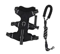 Riuulity Dog Harness and Leash Set, Stress Free Pet Harness No Pull Gentle Leader with Secure Locking for Small Medium Dog