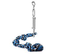 Riuulity Dog Spring Pole Toy, 300 Lbs Stainless Steel Outdoor Tug