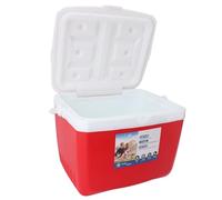 Riuulity Insulated Portable Cooler Box 13L Leakproof with Carry Handle | Plastic Hard Cooler for Camping, Picnics, Fishing, Airtight Lid Preserves Freshness