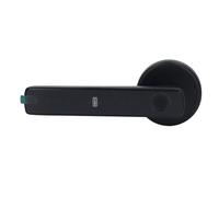 Riuulity Professional Semiconductor Fingerprint Password Lock for Interior Doors, Fast Fingerprint Recognition for Office Flexibility, 165mm Long Aluminum Alloy Material