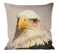 Riva Home Animal Eagle Cushion Cover - Multi - Multi - 45x45cm