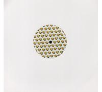 Riva Starr - If Life Gives You Lemons [12" VINYL]