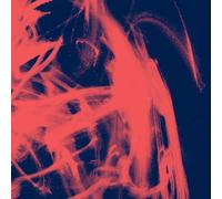 Rival Consoles - Landscape From Memory [VINYL]