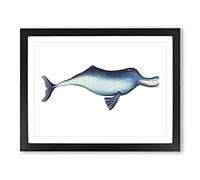 River Dolphin By George Shaw Vintage Framed Print | A2 Black Framed Wall Art | Ready to Hang | Classic Animal Picture | Living Room Bedroom Lounge Office