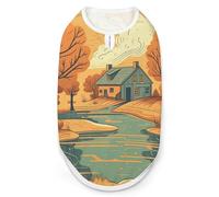 River in Front of House Dog Shirt Quick Dry Breathable Pet T-Shirt Soft Stretchy Sleeveless Vest Dog Apparel 2XL
