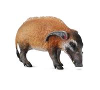 CollectA Realistic Animal Replica Red River Hog Figure Large Ages 3 Years and Up