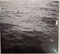 Riverberi - Il Fieno (1 CD)