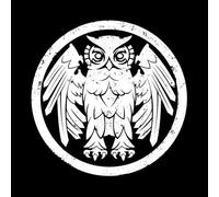 Riverboat Gamblers - Underneath the Owl [Vinyl LP]