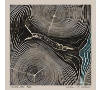 Needtobreathe - Rivers in the Wasteland [New Vinyl LP] Digital Download