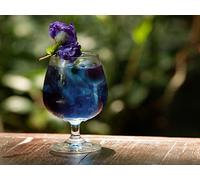 Rivers to the Rainforest