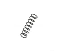 Riveter Spring, 1 Pack NA039409, Replacement Part for DCF403N DCF414N Tools, Easy Install Metal Design, Quick Repair Solution
