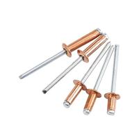 Rivets for Metal, 10PCS Blind Pop Rivet Dome Head Steel/Copper Shaft