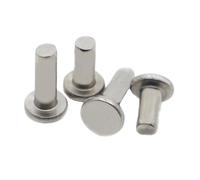 Rivets, GB109 Flat Round Head Self-Plugging Knock-On Rivet 304 Stainless Steel M2-M6 Pack of 5-50(16mm,M6 5pcs)