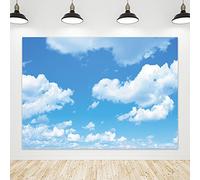 Riyidecor Blue Sky Cloud Backdrop for Baby Shower Polyester Fabric Natural Scenery Clear Sky Photography Background 7Wx5H Feet Decoration Celebration Props Party Photo Shoot