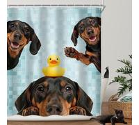 Riyidecor Dog Kids Dachshund are You Pooping Bathroom Shower Curtain Set