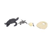 RIZGHWOY Artificial Marine Animal Model Toy, Explore the Life Cycle of Turtles, for Educational Projects and Study of Marine Species (#1)