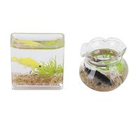 RIZGHWOY Dollhouse Accessories with Realistic Miniature Fish Tanks At 1:12 Scale, Plastic, Attractive and Modern, Suitable for Ages 3+