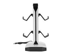 RIZGHWOY RGB Gaming Headset Stand Controller Holder 2 USB Ports Type C Charging for Switch Pro Noise Cancelling Headphones