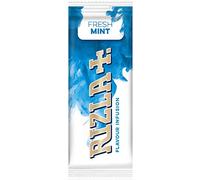 Rizla Flavour Infusions Fresh Mint Cards 25Packs (Full Box)