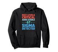 Rizz Levels Critical Aura Stable 67 Sigma Detected Six Seven Pullover Hoodie