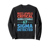 Rizz Levels Critical Aura Stable 67 Sigma Detected Six Seven Sweatshirt