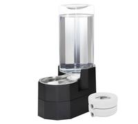 RIZZARI Large Dog Water Dispenser: 9L Raised Gravity Gray Automatic Stainless Steel Waterer with 2 Filters - 100% BPA Free - Pet Feeder for Senior Dogs with Joint Pain in Bedroom Garden