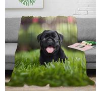 RJAVAGFZL 3D Printed black pug puppy Travel Blanket Microfiber Warm Soft Bedding Breathable cute pet photography Home Blanket for Holiday Celebrations Birthday Anniversary 70×80inch(180x200cm)