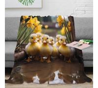 RJAVAGFZL 3D Printed cute ducklings Cosy Throw Microfiber Ultra Soft Warm Bedding spring garden scene Nap Blanket Lightweight Machine Washable for Homeowners Renters Families 70×80inch(180x200cm)